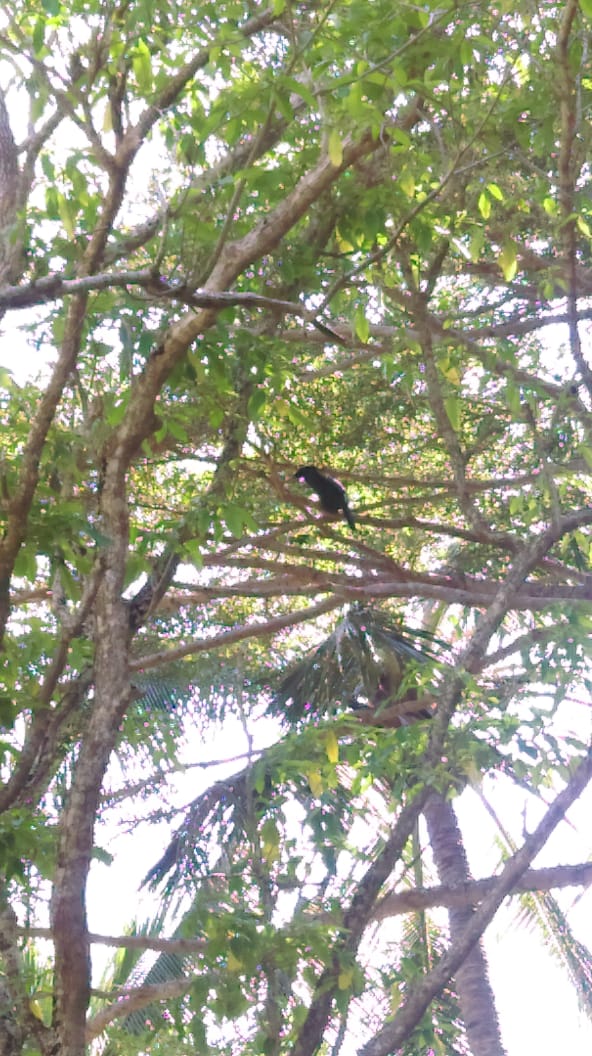 PHOTO-2018-07-31-10-42-48