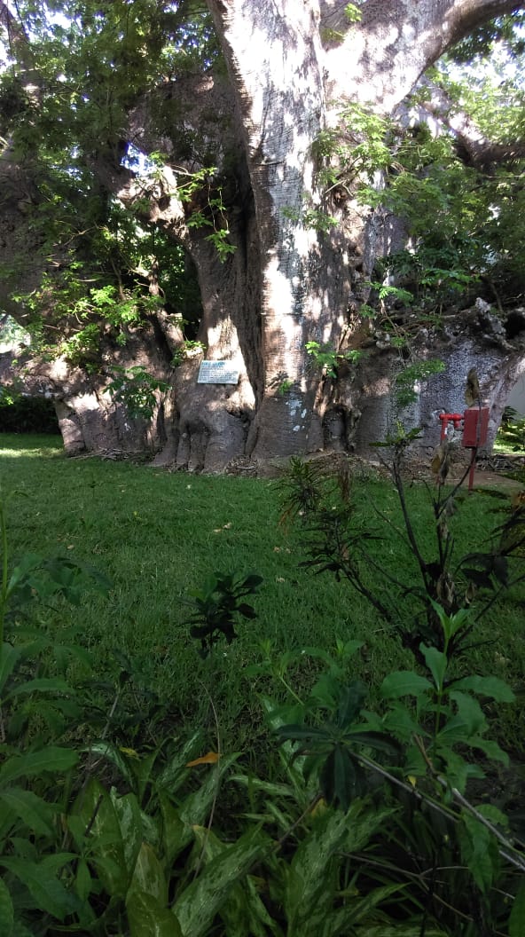 PHOTO-2018-07-31-10-43-32