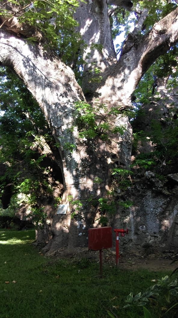 PHOTO-2018-07-31-10-43-53