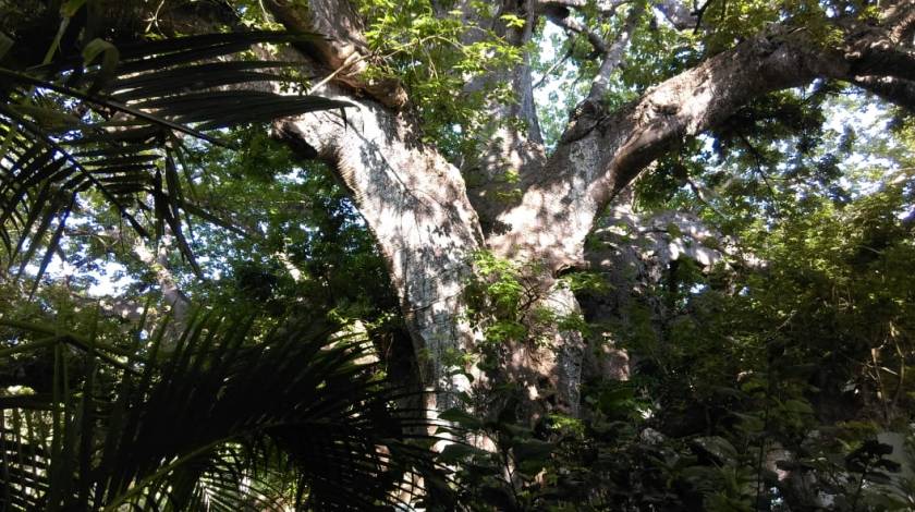 PHOTO-2018-07-31-10-44-14