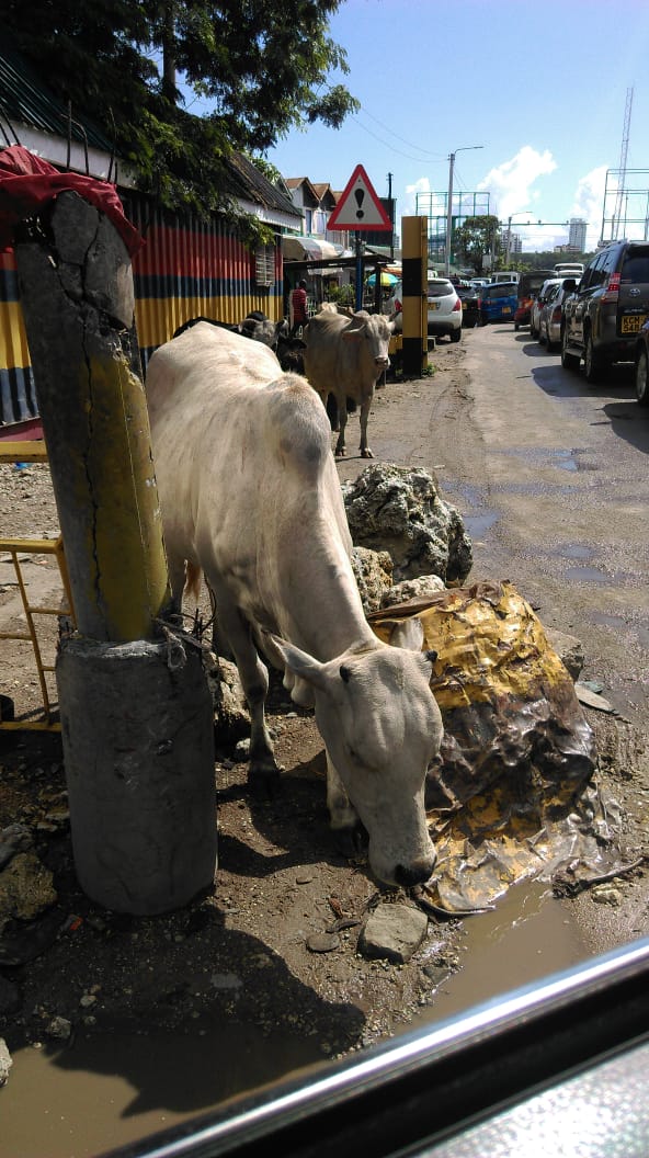PHOTO-2018-07-31-10-44-43
