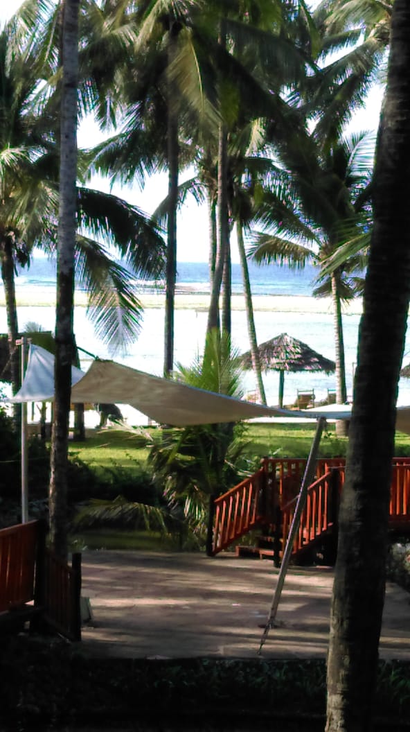 PHOTO-2018-07-31-10-52-36